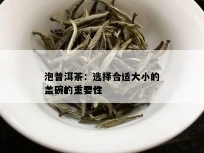 泡普洱茶：选择合适大小的盖碗的重要性