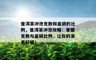 普洱茶冲泡克数和盖碗的比例，普洱茶冲泡攻略：掌握克数与盖碗比例，让你的茶更好喝！