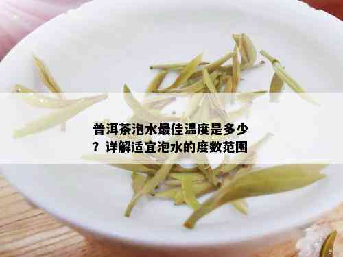 普洱茶泡水更佳温度是多少？详解适宜泡水的度数范围