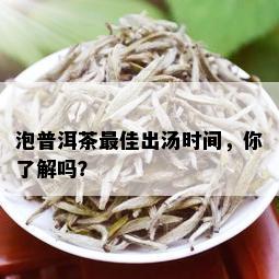 泡普洱茶更佳出汤时间，你了解吗？