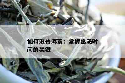 如何泡普洱茶：掌握出汤时间的关键