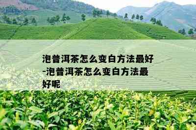 泡普洱茶怎么变白方法更好-泡普洱茶怎么变白方法更好呢