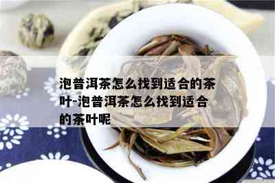 泡普洱茶怎么找到适合的茶叶-泡普洱茶怎么找到适合的茶叶呢