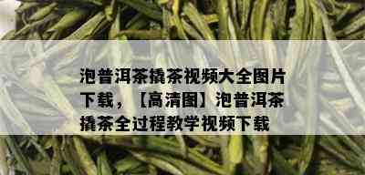 泡普洱茶撬茶视频大全图片下载，【高清图】泡普洱茶撬茶全过程教学视频下载