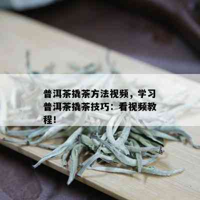 普洱茶撬茶方法视频，学习普洱茶撬茶技巧：看视频教程！