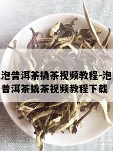 泡普洱茶撬茶视频教程-泡普洱茶撬茶视频教程下载