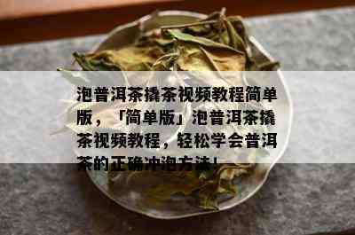 泡普洱茶撬茶视频教程简单版，「简单版」泡普洱茶撬茶视频教程，轻松学会普洱茶的正确冲泡方法！