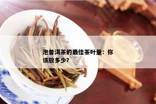 泡普洱茶的更佳茶叶量：你该放多少？