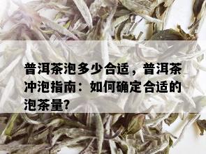 普洱茶泡多少合适，普洱茶冲泡指南：如何确定合适的泡茶量？