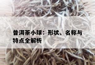 普洱茶小球：形状、名称与特点全解析