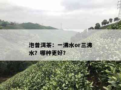 泡普洱茶：一沸水or三沸水？哪种更好？