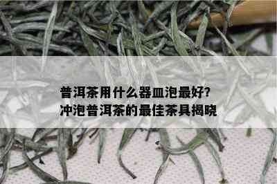 普洱茶用什么器皿泡更好？冲泡普洱茶的更佳茶具揭晓