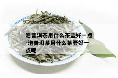 泡普洱茶用什么茶壶好一点-泡普洱茶用什么茶壶好一点呢