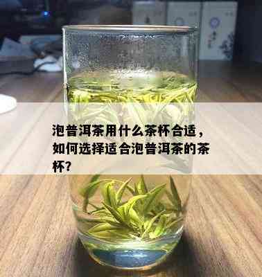 泡普洱茶用什么茶杯合适，如何选择适合泡普洱茶的茶杯？