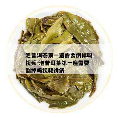 泡普洱茶之一遍需要倒掉吗视频-泡普洱茶之一遍需要倒掉吗视频讲解