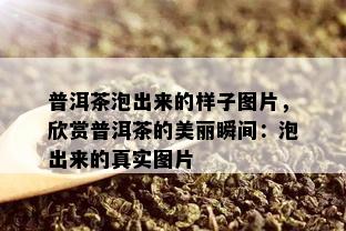 普洱茶泡出来的样子图片，欣赏普洱茶的美丽瞬间：泡出来的真实图片