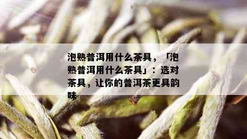 泡熟普洱用什么茶具，「泡熟普洱用什么茶具」：选对茶具，让你的普洱茶更具韵味