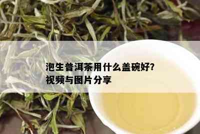 泡生普洱茶用什么盖碗好？视频与图片分享