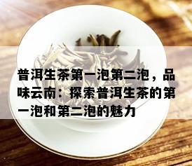 普洱生茶之一泡第二泡，品味云南：探索普洱生茶的之一泡和第二泡的魅力