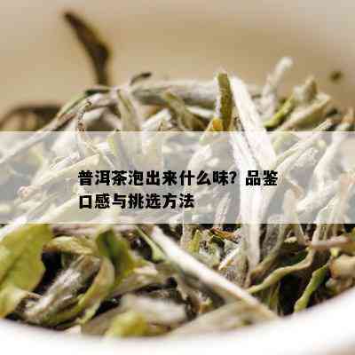 普洱茶泡出来什么味？品鉴口感与挑选方法