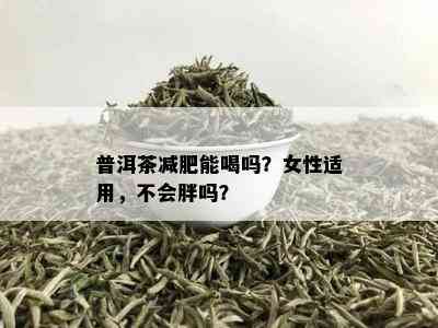 普洱茶减肥能喝吗？女性适用，不会胖吗？