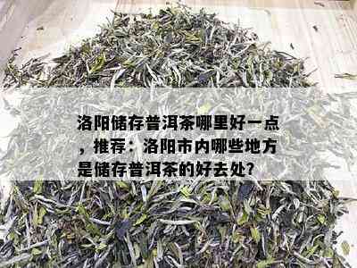 洛阳储存普洱茶哪里好一点，推荐：洛阳市内哪些地方是储存普洱茶的好去处？