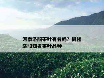 河南洛阳茶叶有名吗？揭秘洛阳知名茶叶品种