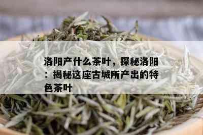 洛阳产什么茶叶，探秘洛阳：揭秘这座古城所产出的特色茶叶