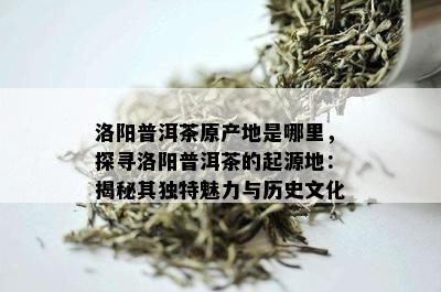 洛阳普洱茶原产地是哪里，探寻洛阳普洱茶的起源地：揭秘其独特魅力与历史文化