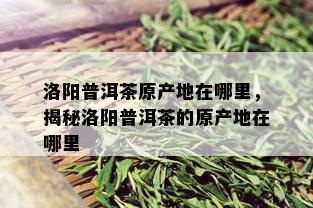 洛阳普洱茶原产地在哪里，揭秘洛阳普洱茶的原产地在哪里