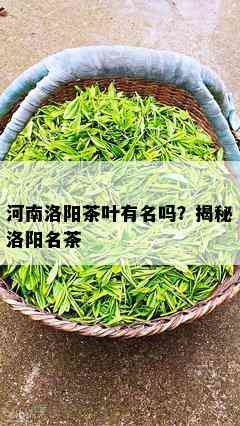 河南洛阳茶叶有名吗？揭秘洛阳名茶