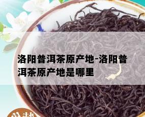 洛阳普洱茶原产地-洛阳普洱茶原产地是哪里