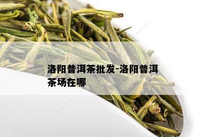 洛阳普洱茶批发-洛阳普洱茶场在哪