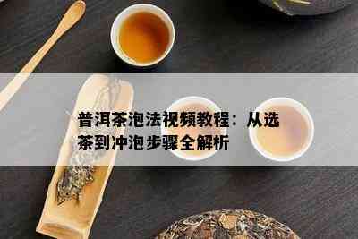 普洱茶泡法视频教程：从选茶到冲泡步骤全解析