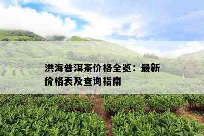 洪海普洱茶价格全览：最新价格表及查询指南