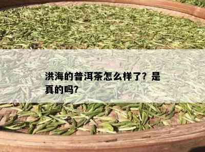 洪海的普洱茶怎么样了？是真的吗？