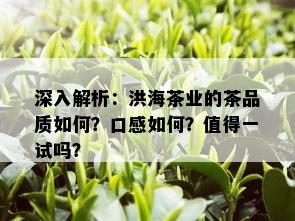 深入解析：洪海茶业的茶品质如何？口感如何？值得一试吗？