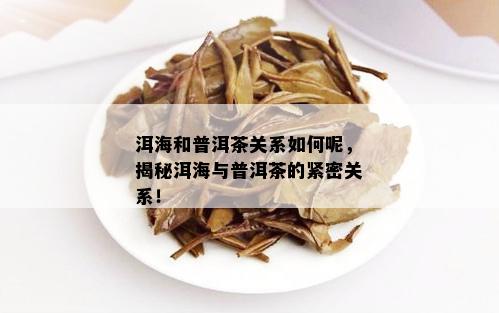 洱海和普洱茶关系如何呢，揭秘洱海与普洱茶的紧密关系！