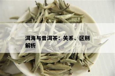 洱海与普洱茶：关系、区别解析