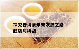 探究普洱茶未来发展之路：趋势与挑战