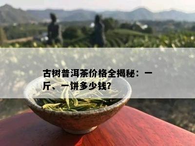 古树普洱茶价格全揭秘：一斤、一饼多少钱？