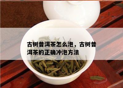 古树普洱茶怎么泡，古树普洱茶的正确冲泡方法