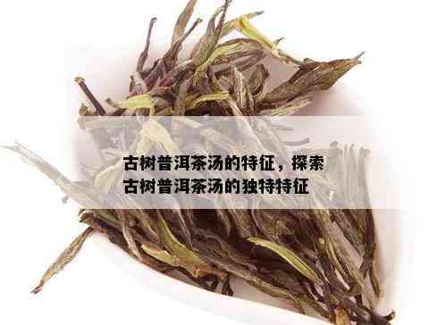 古树普洱茶汤的特征，探索古树普洱茶汤的独特特征