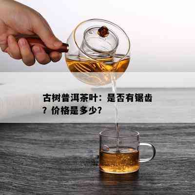 古树普洱茶叶：是否有锯齿？价格是多少？