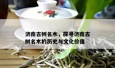 济南古树名木，探寻济南古树名木的历史与文化价值