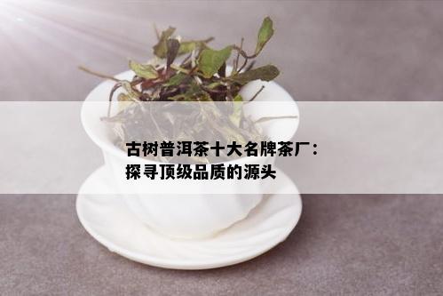 古树普洱茶十大名牌茶厂：探寻顶级品质的源头