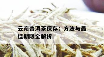 云南普洱茶保存：方法与更佳期限全解析