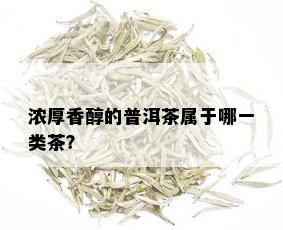 浓厚香醇的普洱茶属于哪一类茶？