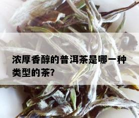 浓厚香醇的普洱茶是哪一种类型的茶？