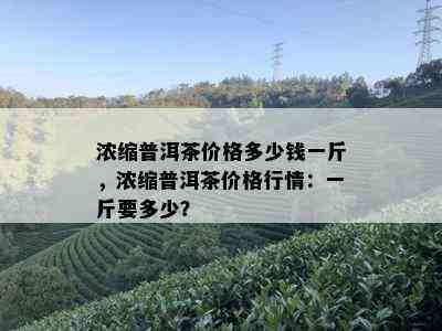 浓缩普洱茶价格多少钱一斤，浓缩普洱茶价格行情：一斤要多少？